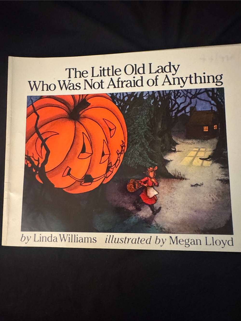 "The Little Old Lady Who Was Not Afraid of Anything" - Kids Book (Orange, Black)